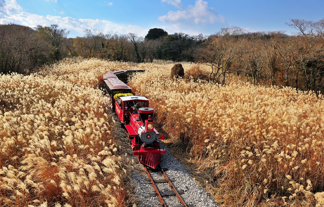 jeju 1
