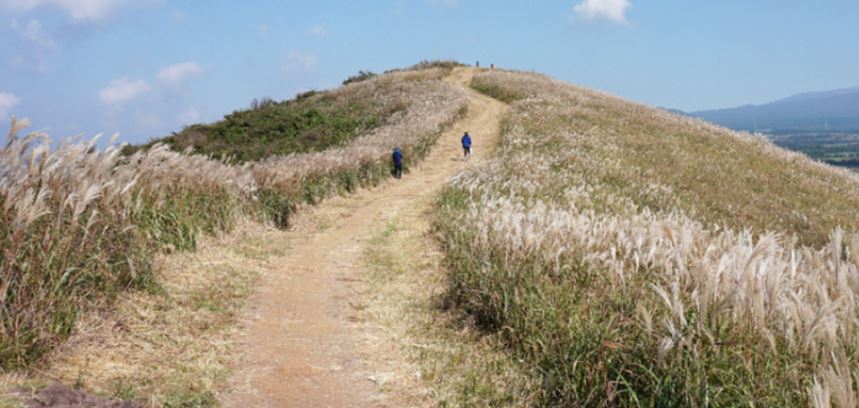 jeju 3