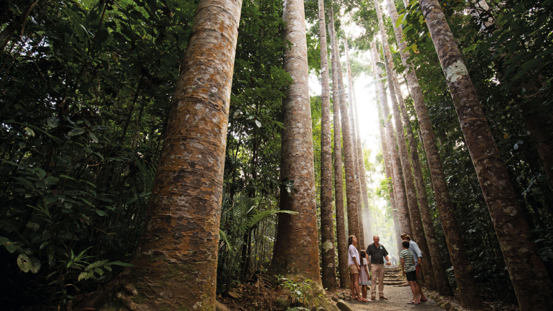 135419-400180-Paronella Park (1).jpg