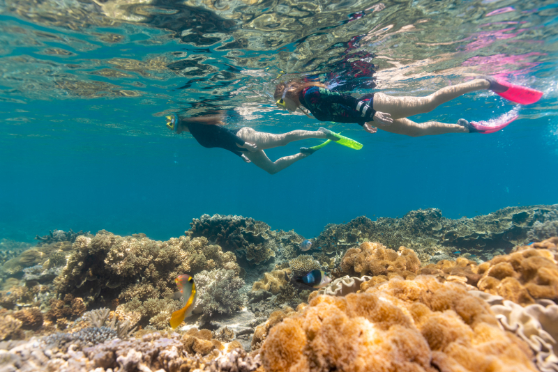 149725-2022_TNQ_Cairns_SunloverReefCrui-23.jpg
