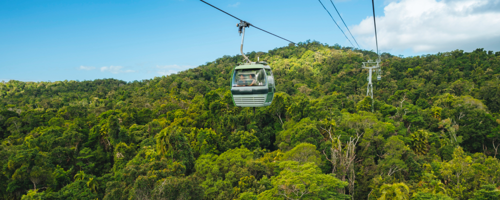 151801-2022_TNQ_Cairns_SkyrailRainfores-19.jpg