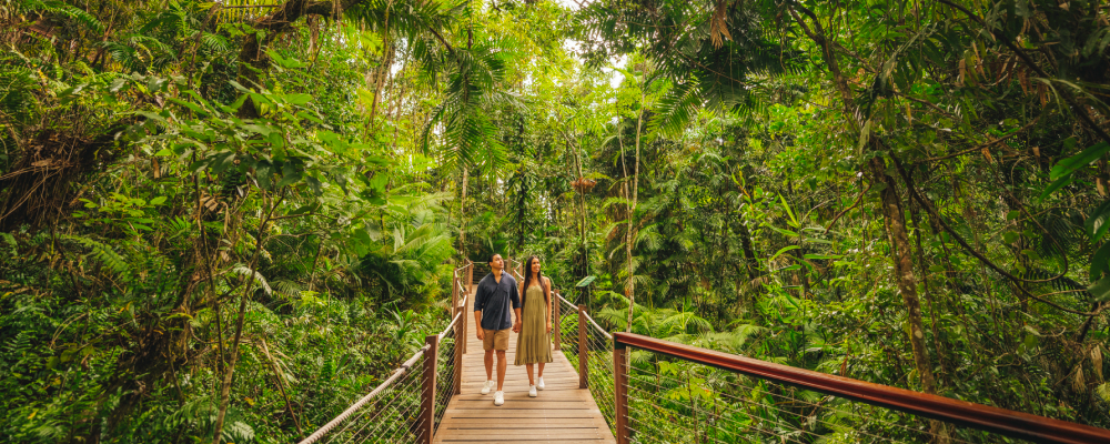151805-2022_TNQ_Cairns_SkyrailRainfores-19.jpg