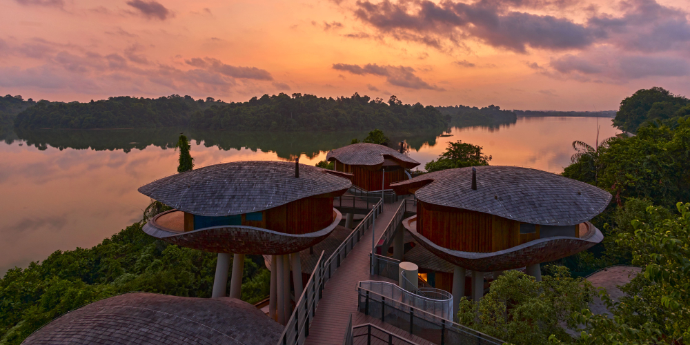 Mandai Rainforest Resort by Banyan Tree_Key Visual.jpg