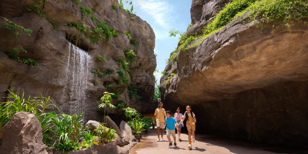asia rainforest (1).jpg