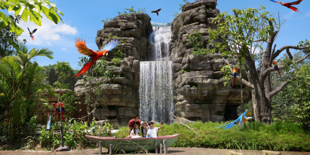 bird paradise (1).jpg