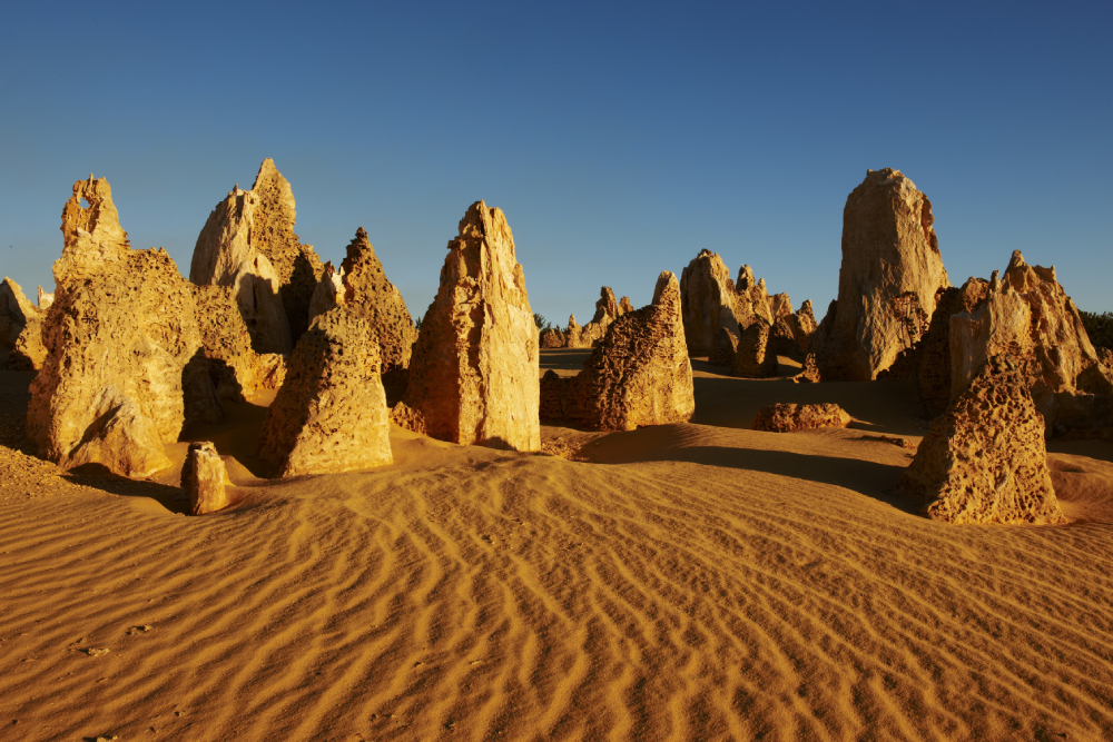 pincalass 41042.jpg