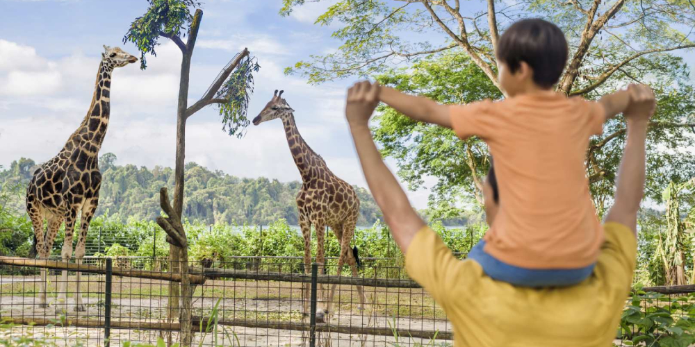 singapore zoo.jpg